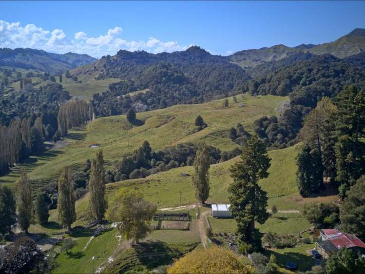 637 Makakahi Road Ruatiti_7