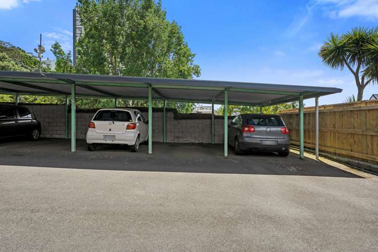 1C/19 Cottleville Terrace Thorndon_13