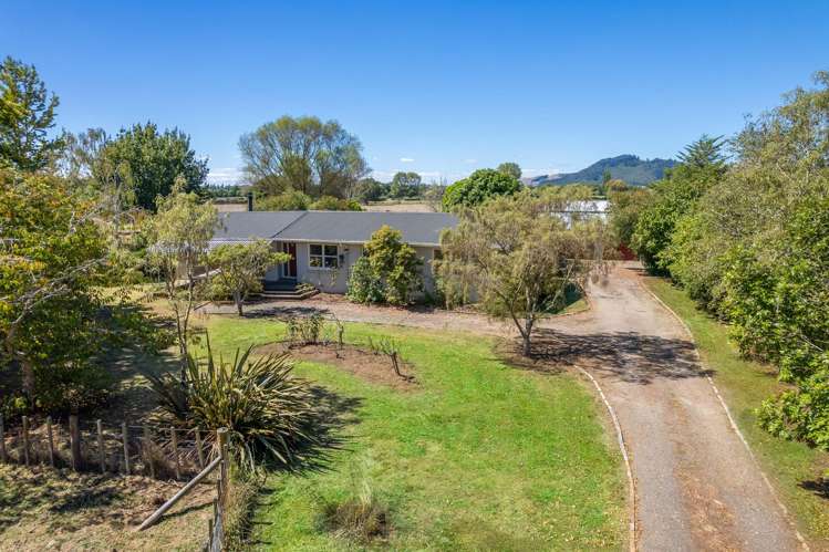 268 Marychurch Road Matangi_39