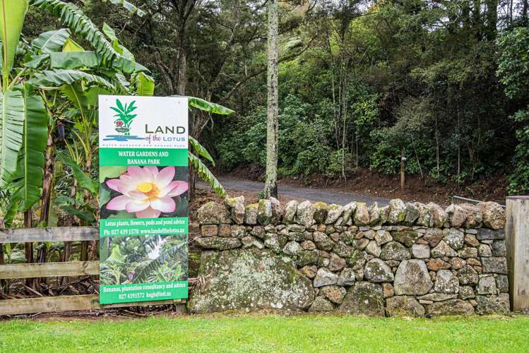 304 Mangakahia Road Maungatapere_12