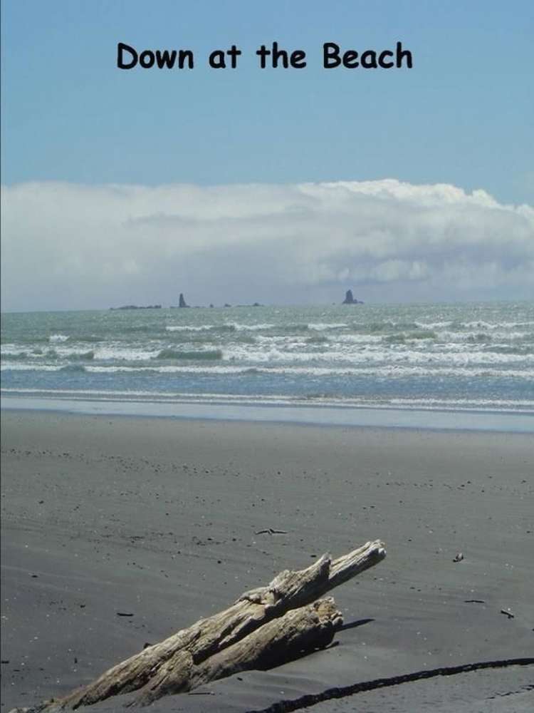 27 Elley Drive Carters Beach_4