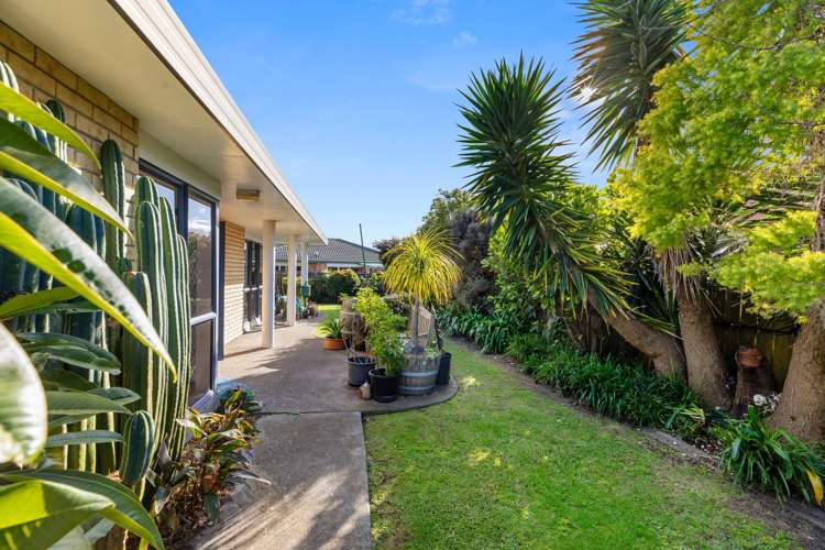 29 Luculia Drive Mount Maunganui_2