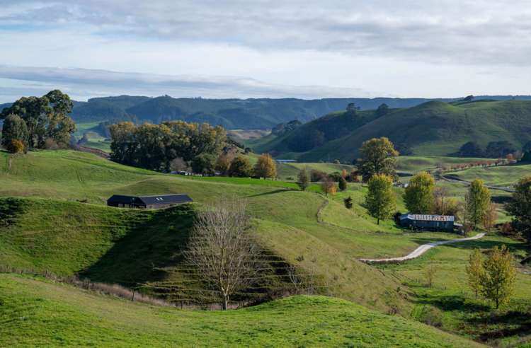 617 Dunkirk Road Atiamuri_22