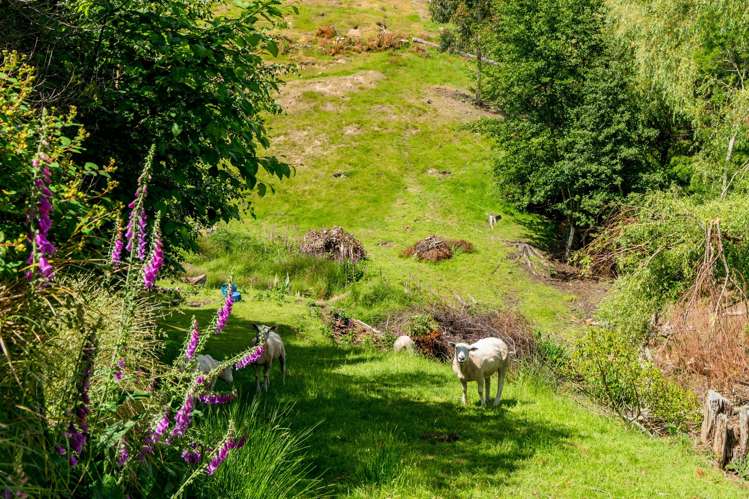 31 Lake View Street Waihola_30