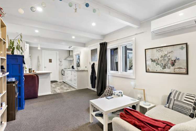 17 Rakau Road Hataitai_12