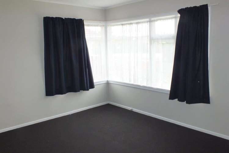 49 Amuri Street Hei Hei_11