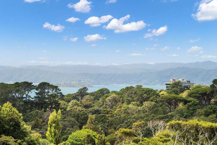 21b Crieff Street Northland_4