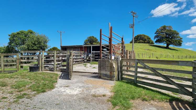 217 Underwood Road Wellsford_8