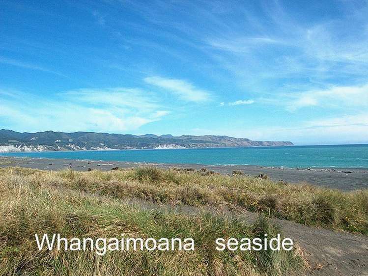 83 Whangaimoana Beach Road Pirinoa_16