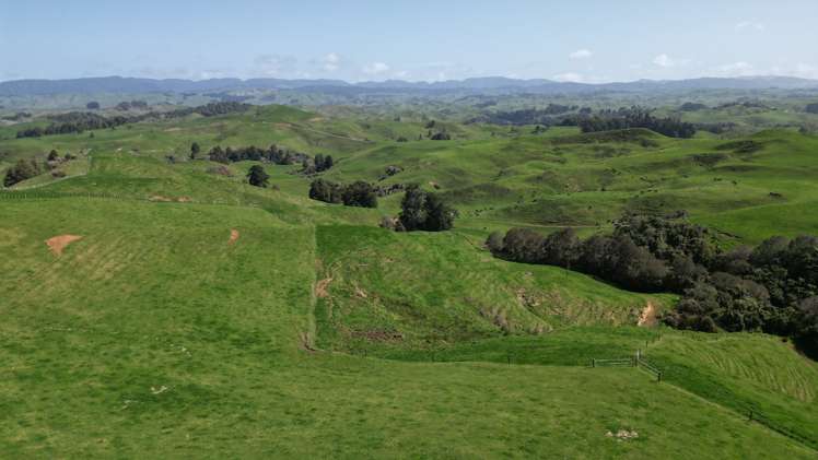 953 State Highway 3 Piopio_21