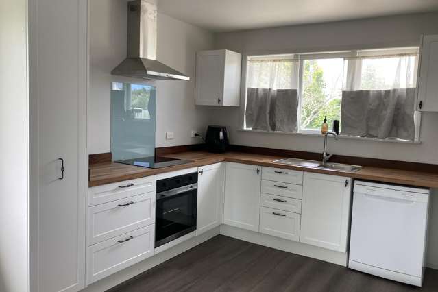 58 Rolleston Street Kihikihi_1