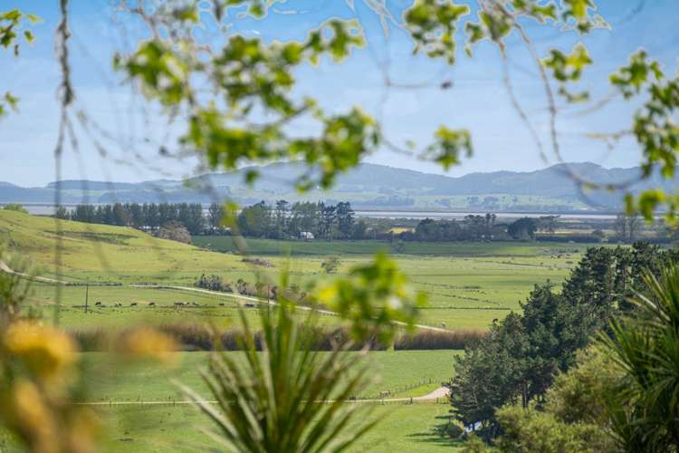 370 Fordyce Road Helensville_3