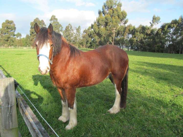 149 Terrace Road Cust_22