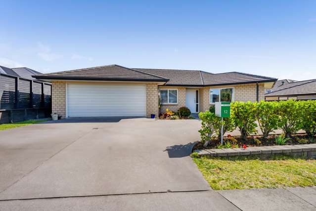 12 Oakmont Crescent Waiwhakaiho_1