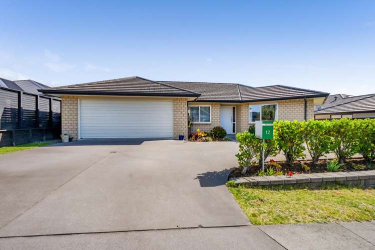 12 Oakmont Crescent Waiwhakaiho_1