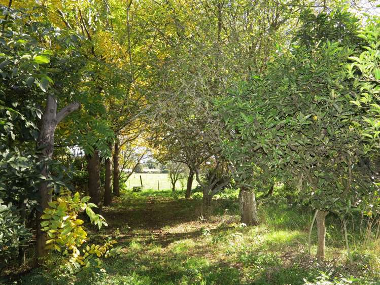 99 Clifton Road Kahurangi National Park_5