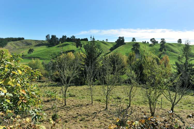 185 Rose Road Upper Moutere_25