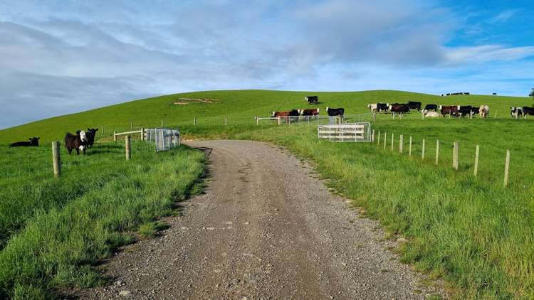 279 Cameron Road Waipahi_23