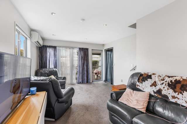 164 Strickland Street Sydenham_1