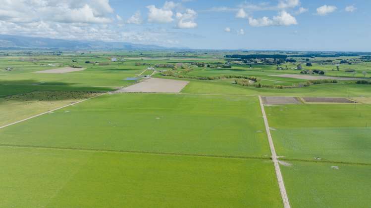 1217 Rangiotu Road Tiakitahuna_6