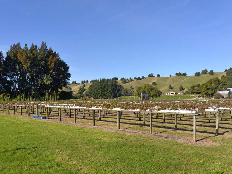 326 Wakefield-Kohatu Highway Wakefield_16