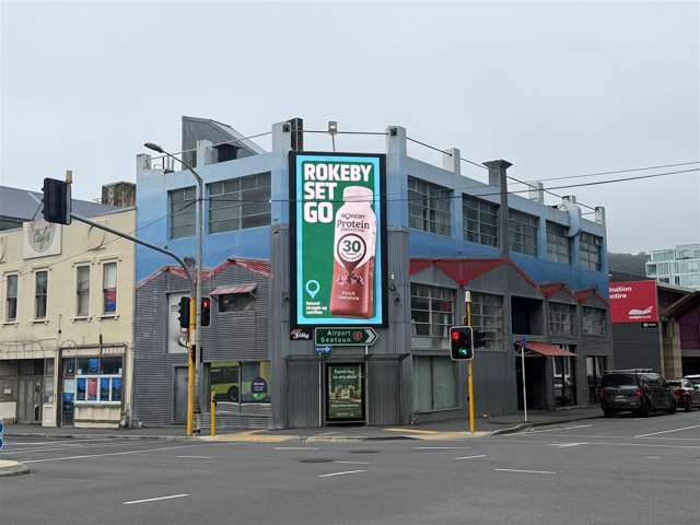 101 Vivian Street Te Aro_1