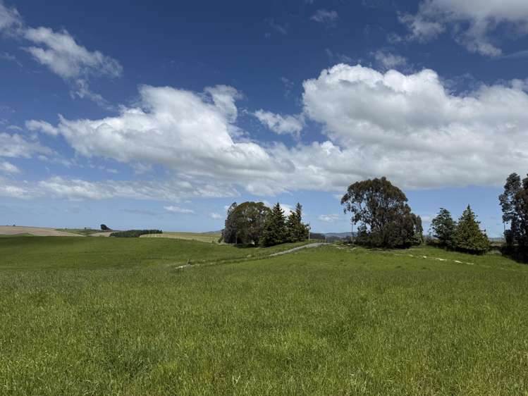 Kakapuaka Road Balclutha_7