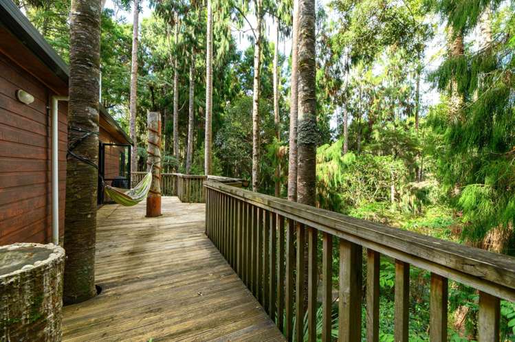 8 Kauri Loop Road Oratia_19