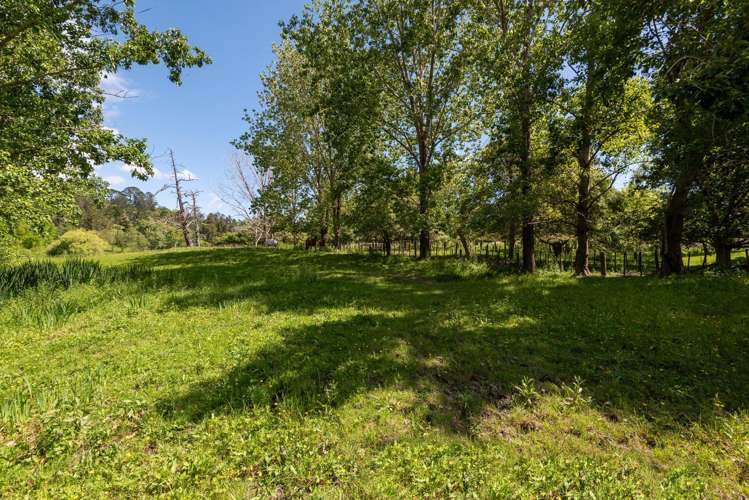 435 Pine Valley Road Dairy Flat_54