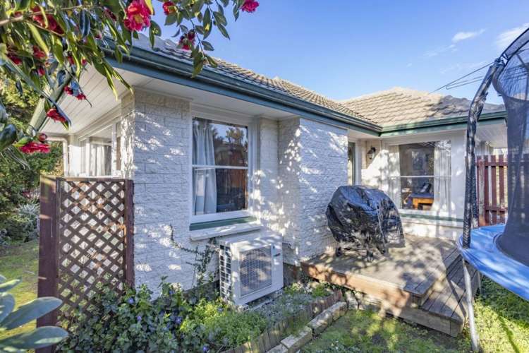 49 Greenpark Street Hoon Hay_14