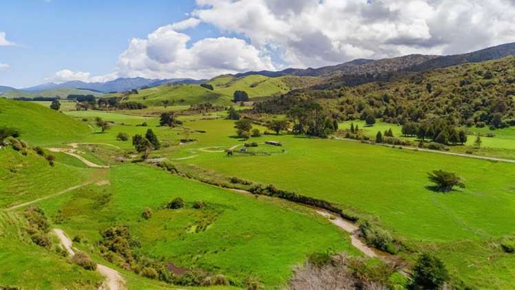 Mangaraupiu Road Eketahuna_3