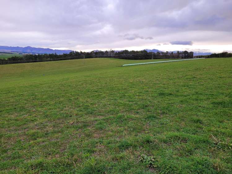 246 Tokarahi-Ngapara Road Five Forks and Surrounds_13