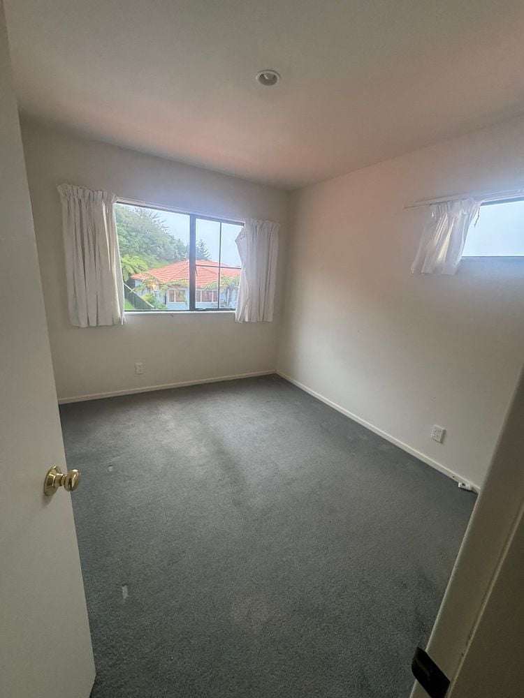 67 McLintock Street Johnsonville_7