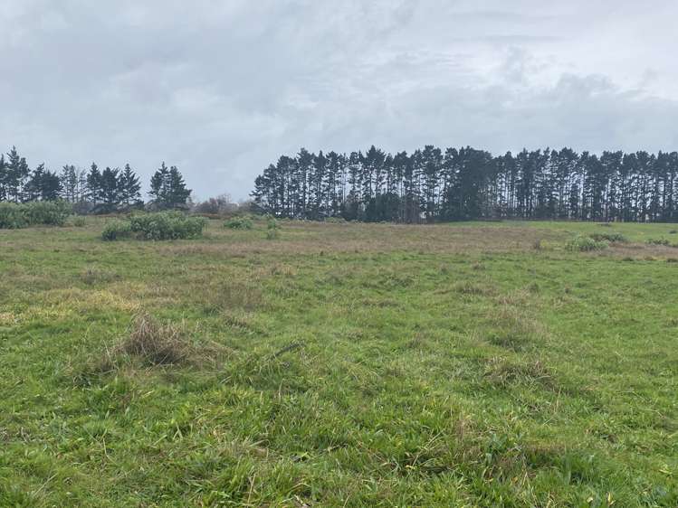 90 Walker Road Opaheke_12