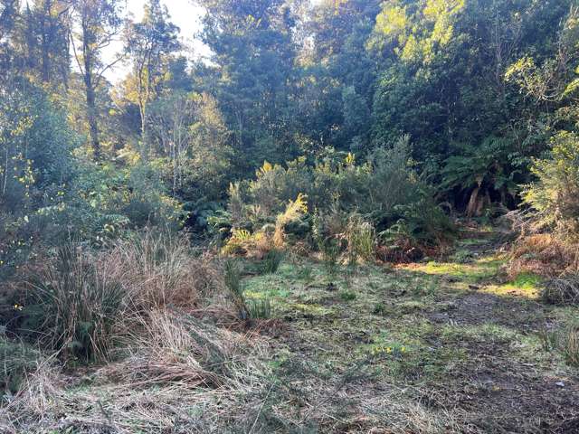 1 Kakapo Way Moana_3