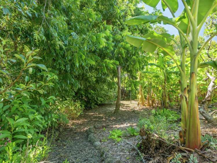 249b State Highway 12 Omapere_19