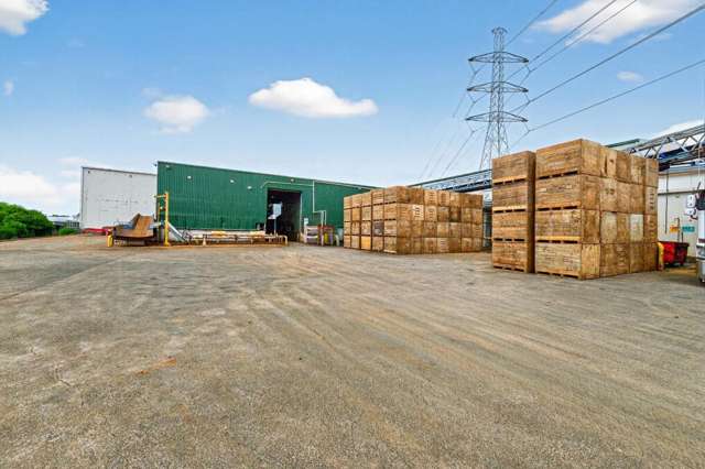 100 Kerwyn Avenue East Tamaki_3