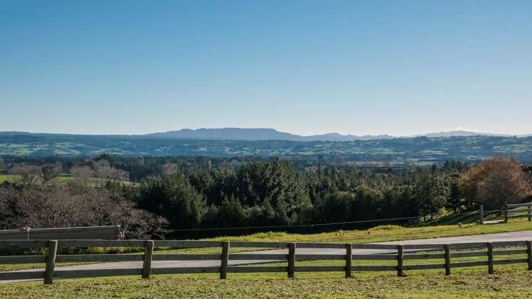 145 Warner Road Oropi_2