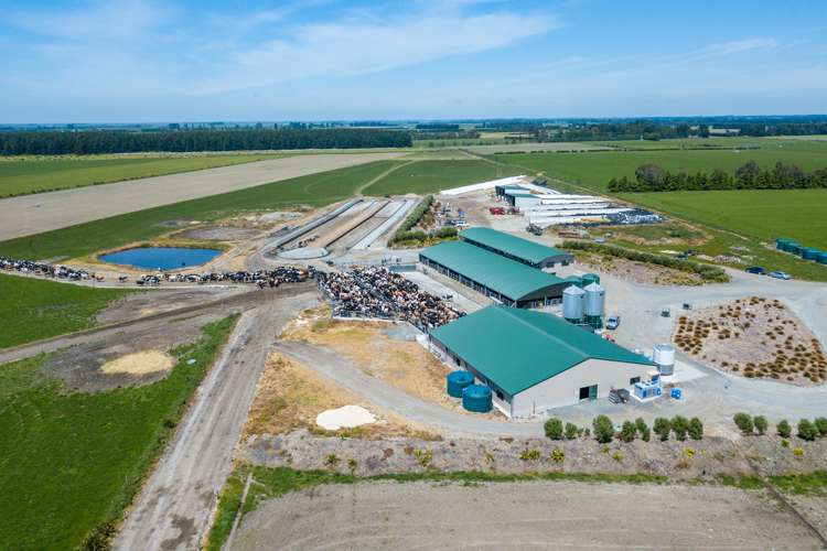 102 Anama Station Road Mayfield_3