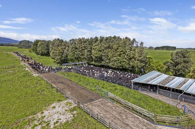 Tidy dairy farm