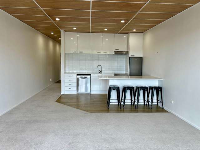 28K The Avenue Albany_4