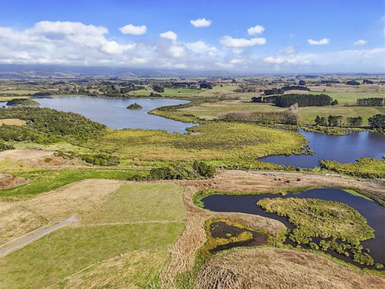 Lot 9 Whio Grove Hokio Beach_7