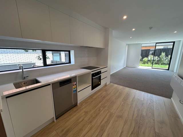 2/12 Treasure Lane Te Atatu South_1