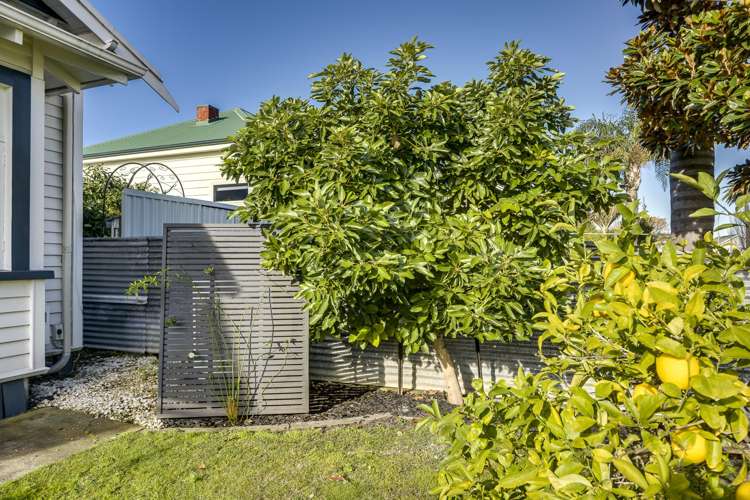 19 Mcdonald Street Napier South_21