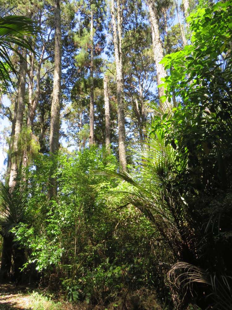 504b Wairere Road Maungaturoto_29