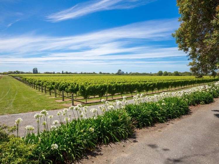 100 Watsons Road Grovetown_3