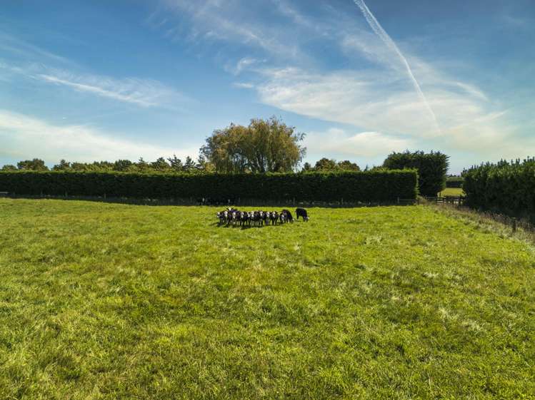 38 Kintyre Lane Ohoka_7