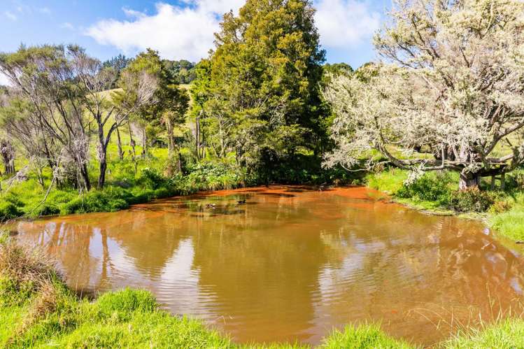 228 Harris Road Glenbervie_25