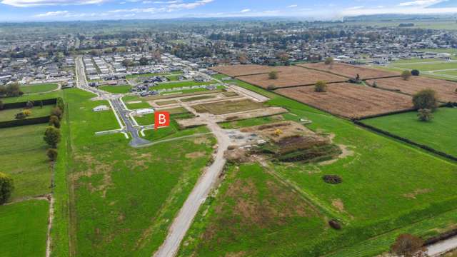 85 Tokotoko Parade Matamata_3