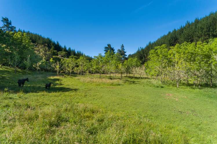 219 Lloyd Valley Road Thorpe_16